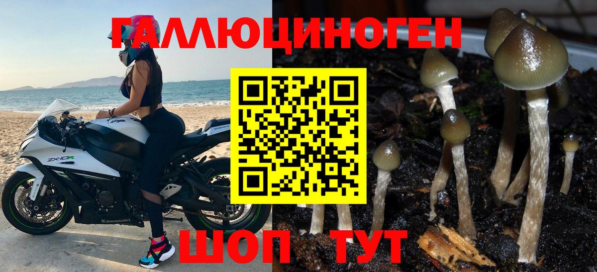 Псилоцибиновые грибы GOLDEN TEACHER  Галлюциногенные грибы MAGIC MUSHROOMS  Вход с VPN  Волхов 