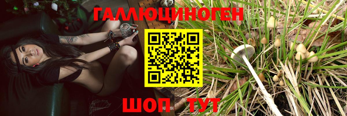 Галлюциногенные грибы мицелий Волхов
