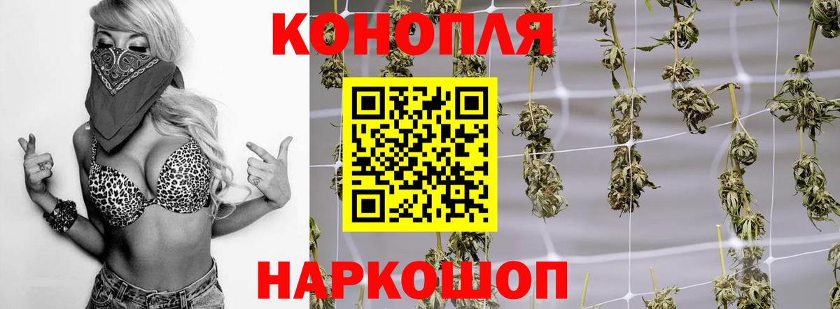 Марихуана семена  Бошки марихуана конопля  Вход с VPN  Волхов 